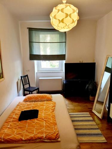 Zellerau House | Zimmer in zentraler Lage/Room near downtown