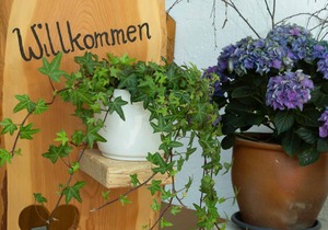 5-star vacation apartment with balcony and view of the Chiemgau mountains