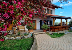 51 m² Apartment ∙ 1 bedroom ∙ 2 guests