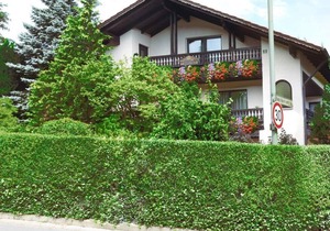 55 sqm apartment with balcony