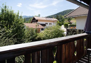 "Almröserl" apartment with mountain view, balcony & Wi-Fi