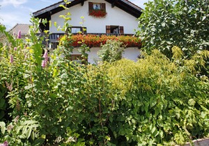 "Almröserl" apartment with mountain view, balcony & Wi-Fi