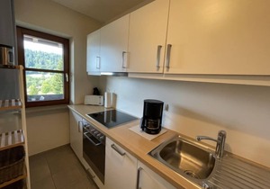 Alpenappartement Buchenhöhe A301 by Interhome