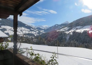 Apartment 1 - House Moosbrunn