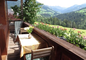 Apartment 1 - House Moosbrunn