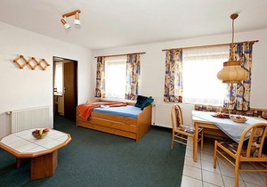 Apartment Brixental in Hopfgarten im Brixental - 4 persons, 1 bedrooms