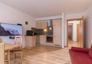 Apartment mit 1 Schlafzimmer und Balkon