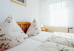 Apartment near the forest in Plankenstein