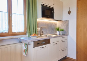 Apartment Nussbaum, 32 sqm, 1st floor, combined living room/bedroom