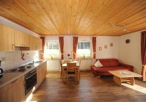Apartment plum - 4 stars - with terrace and free WiFi