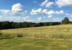 Apartment with all amenities, garden and sauna, located in a very tranquil area