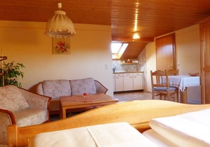 Appartement Dachgeschoss 46qm | Großzügiges, modernes Appartement
