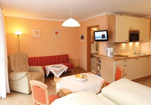 Appartement mit Balkon/Terrasse in ländlicher Umgebung