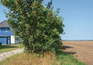 Beautiful home in Altefhr-Rgen with 2 Bedrooms and Internet