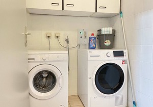 Central workers apartment (SAD181)