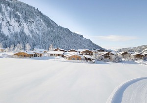 Chalet Holiday home 14 - Almdorf Tirol