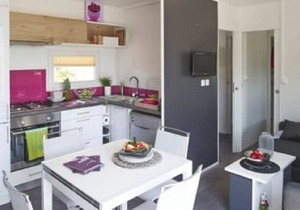 comfortable mobile home on the lake with whirlpool (WA101)