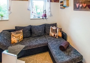 Cosy apartment with terrace and garden access in a quiet wooded area