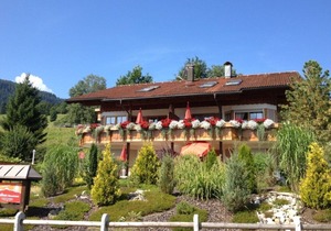 Country house Obermaiselstein THE VIEW - wonderful mountain view from apartment Rubihorn