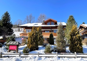 Country house Obermaiselstein THE VIEW - wonderful mountain view from apartment Besler