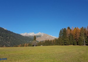 De Nussi's chalet 2