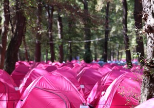Camping ∙ 127 guests