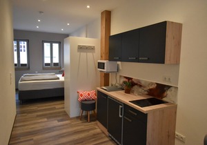 Designer apartment (48 sqm) in the heart of the old town