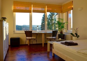 Double Room with Bathroom - B & B Fernblick in Nürnberger Land