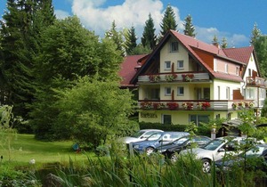 EZ-App. | Gemütliches EZ-Appartement mit Liebe zum Detail eingerichtet