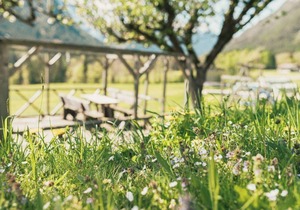 Ferienwohnung Reiteralpe, 2-4 Personen, 70 qm, 2 x Dusche/WC, TV, W-LAN, Ostbalkon, 2 Schlafzimmer, Nichtraucher