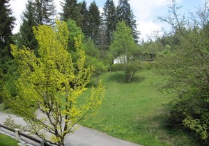 Ferienhaus Heimhof