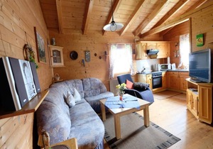 Ferienhaus Jägerpark Viechtach 8, indoor pool, Wi-Fi and energy costs included