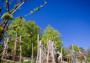 Ferienpark Geyersberg inklusive aktivCARD Bayerischer Wald