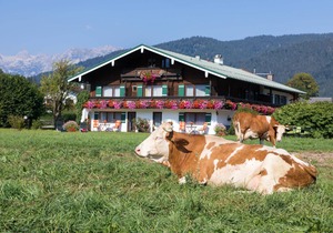 Ferienwohnung Grünstein, 2 bis 2 Personen, 35 qm, Terrasse