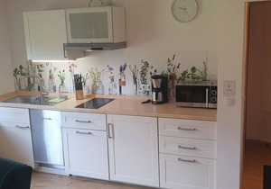 Ferienwohnung 4, 1 Schlafzimmer, 1 Wohn-esszimmer mit Küche, Du-wc