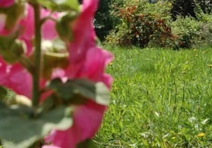 Ferienwohnung für Familien mit Himmelbetten
