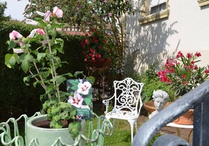 Ferienwohnung mit historischer Austattung und Boxspringbett