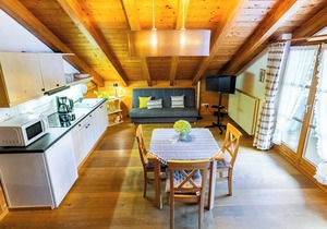Ferienwohnung Nr. 3, 45 qm, Wohn-/Schlafraum, Zustellbetten, Dusche/WC, Balkon, Sat-TV, max. 4 Personen