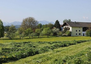 Ferienwohnung Obstgarten, 47 qm 1. Stock, 1 Separates Schlafzimmer