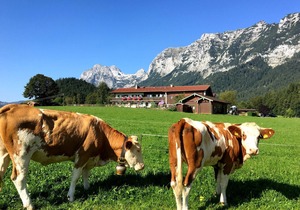 Ferienwohnung Panoramablick, 1-4 Personen, 45 qm, Dusche/WC, West-Ost-Balkon, SAT TV , W-LAN, 2 Schlafzimmer