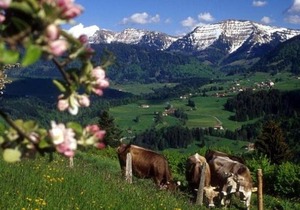 FeWo "Q-Stadl" Oberstaufen/Steibis