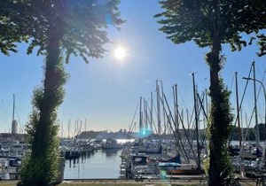 Finnenhaus 9
