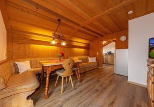 Hanslbauer, vacation apartments - "Nr.4" apartment/1 bedroom/shower, WC