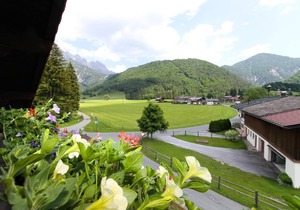 Haus Mitterhorn im PillerseeTal - Ferienwohnung A