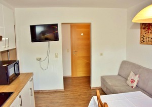 Holiday apartment Wildschönau-Oberau for 1 - 4 persons with 1 bedroom - Holiday apartment in one or