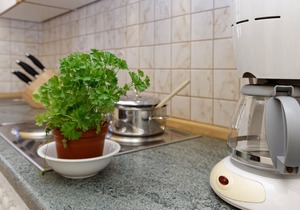 Holiday apartment Spiegelau for 1 - 4 persons with 1 bedroom - Holiday apartment in one or multi-fam