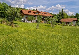 Holiday apartment Spiegelau for 1 - 2 persons with 1 bedroom - Holiday apartment in one or multi-fam