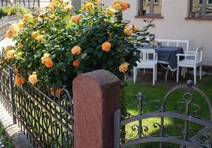 Holiday house Bad Windsheim for 1 - 10 persons with 5 bedrooms - Holiday home