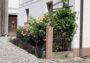 Holiday house Bad Windsheim for 1 - 10 persons with 5 bedrooms - Holiday home