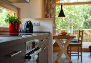 Holiday house Regen for 1 - 2 persons with 1 bedroom - Holiday home